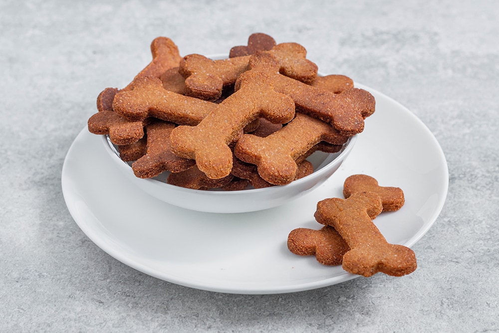 חטיפים לכלבים מ-3 מרכיבים