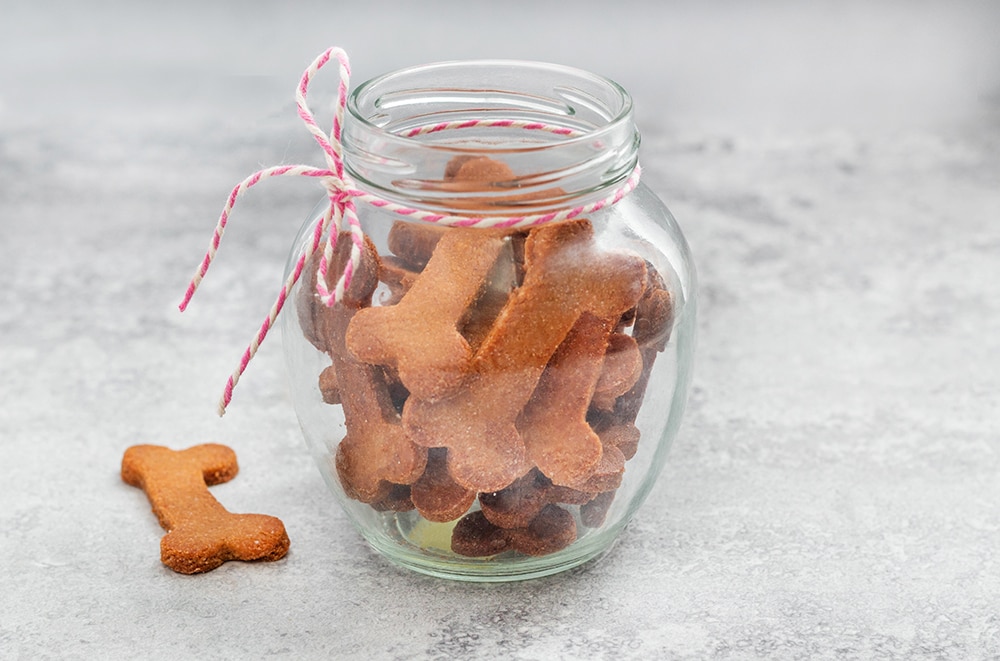 חטיפים לכלבים מ-3 מרכיבים