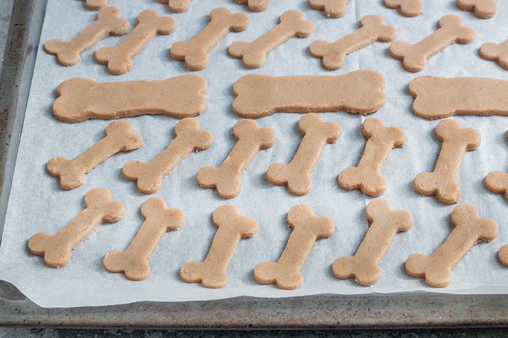 חטיפים לכלבים מ-3 מרכיבים